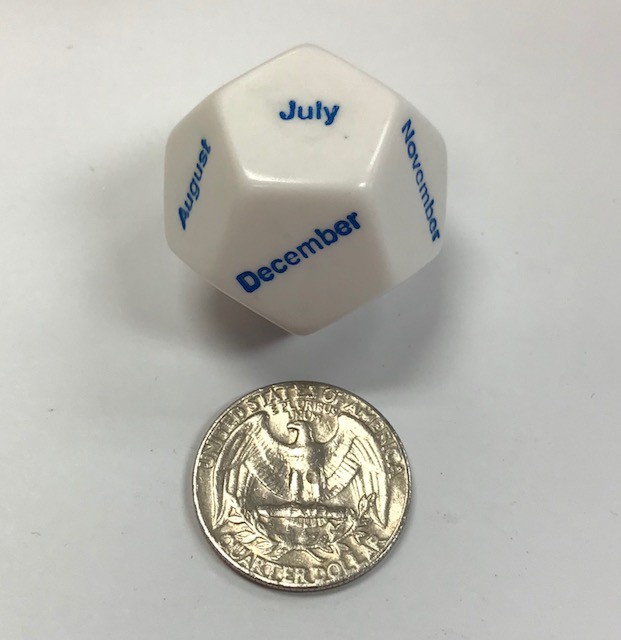 12 Sided Months of Year Dice - DiceEmporium.com