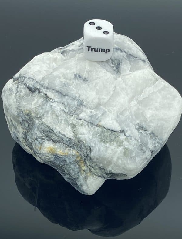 Trump Dice -DiceEmporium.com