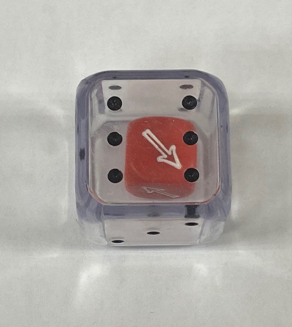 25mm Directional Double Die - DiceEmporium.com